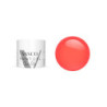 Paint Gel 035 Wild Raspberry Vasco 5 g